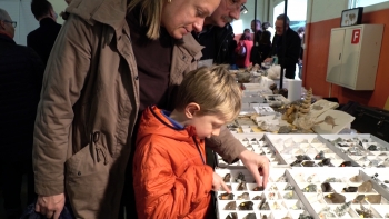 Immagini della mostra di cristalli e fossili che si é tenuta a Pregassona il 12/13 novembre (no comment)