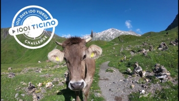 100% Ticino - Video 040 By Denis