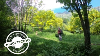 100% Ticino Video 014 By Timo