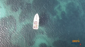 "Linked to Alpha 2" with Harold Lubberdink from Happy.Rentals company.