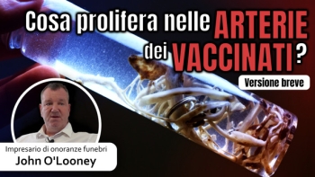Prove nel sangue - Punti salienti dell'intervista all'impresario di onoranze funebri John O'Looney