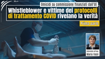 Avvocatessa Maria Vasii con testimoni: oltre 400 miliardi di euro per omicidio su commissione e riciclaggio di denaro