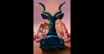 05 an tilopia mattutina.jpg